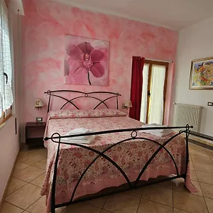 2* Bed & Breakfast Il Giardino In Citta